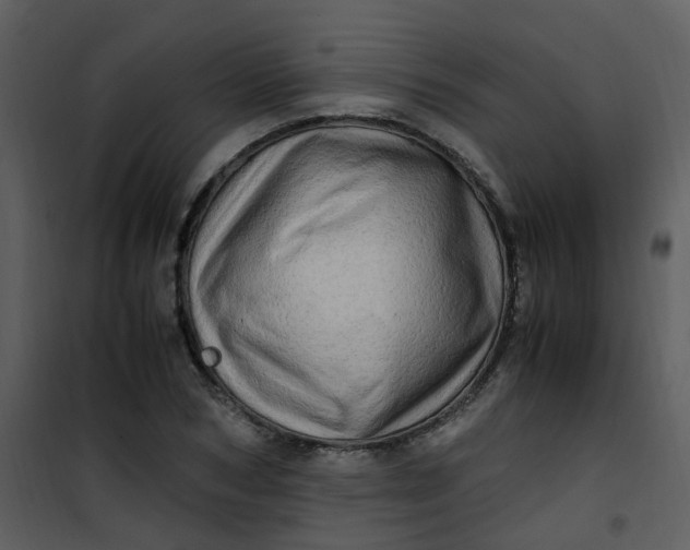 X0000101170978200807181419