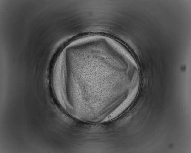 X0000101170979200807181419