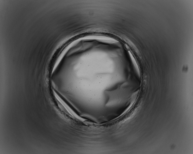 X0000101170981200807181419
