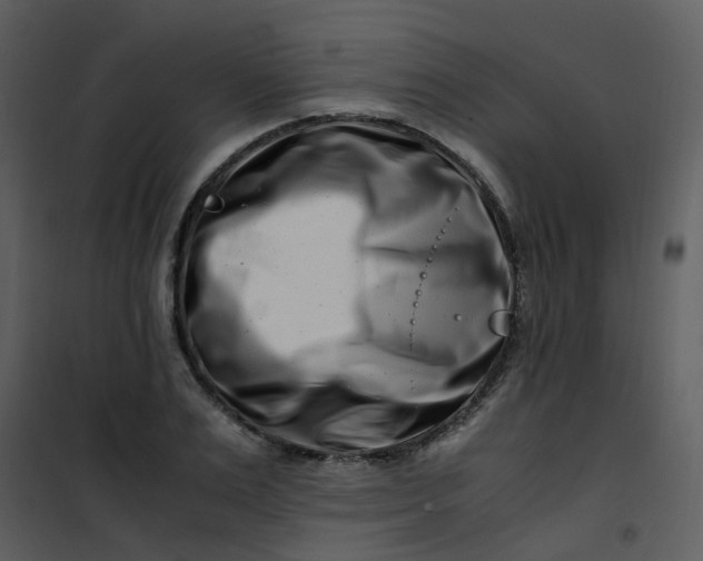 X0000101170983200807181419