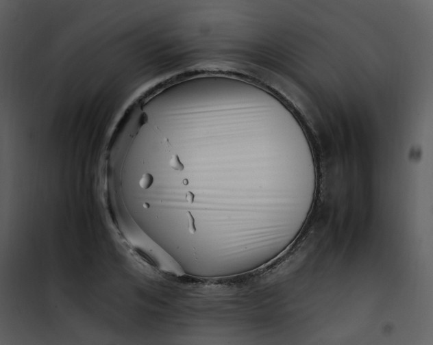 X0000101170984200807181419