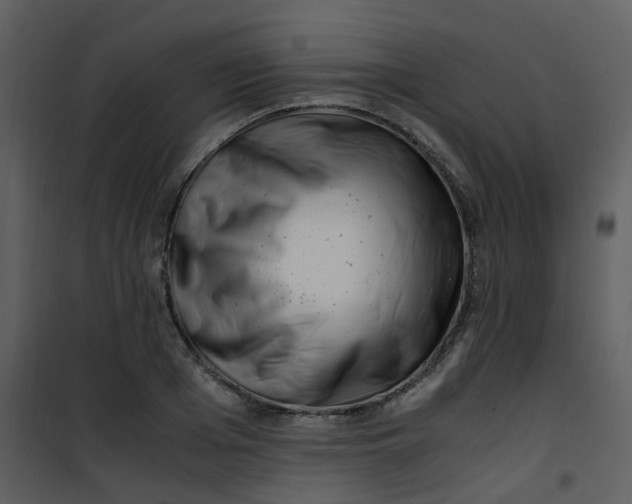 X0000101170985200807181419