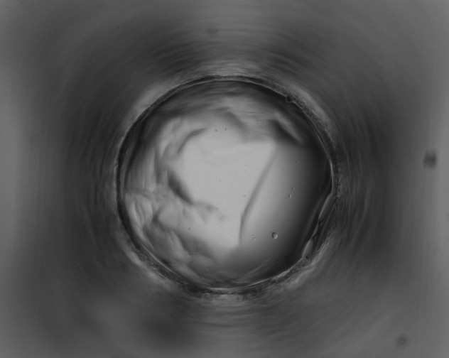X0000101170986200807181419