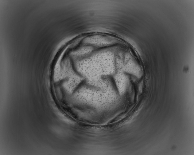 X0000101170987200807181419