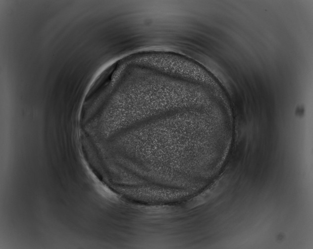 X0000101170988200807181419