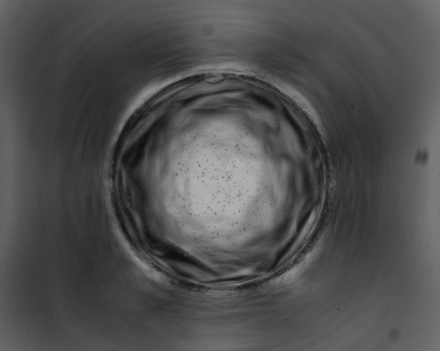 X0000101170989200807181419