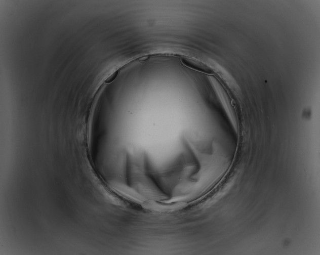 X0000101170993200807181419