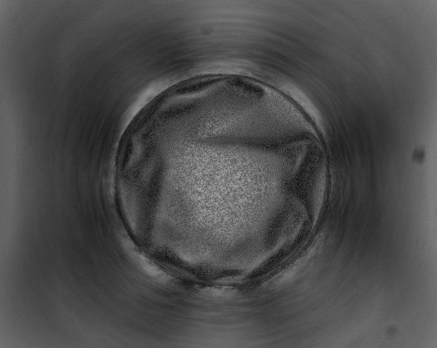 X0000101170994200807181419