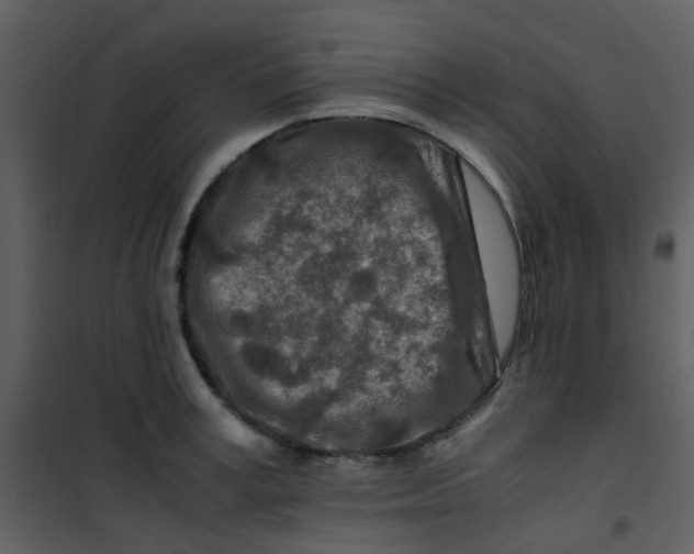 X0000101170995200807181419
