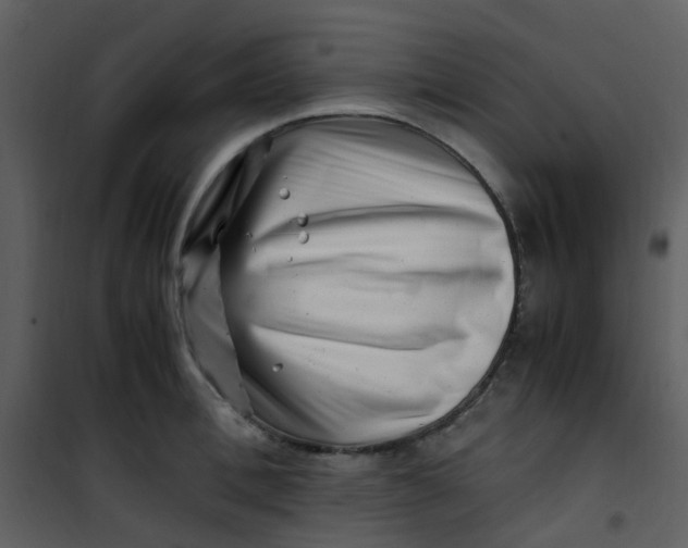 X0000101170996200807181419