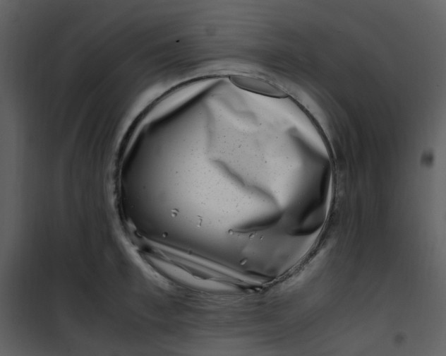X0000101170997200807181419