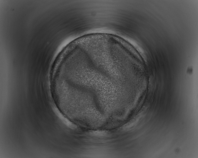 X0000101170998200807181419