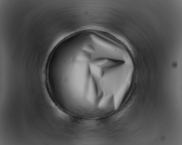 X0000101170999200807181419