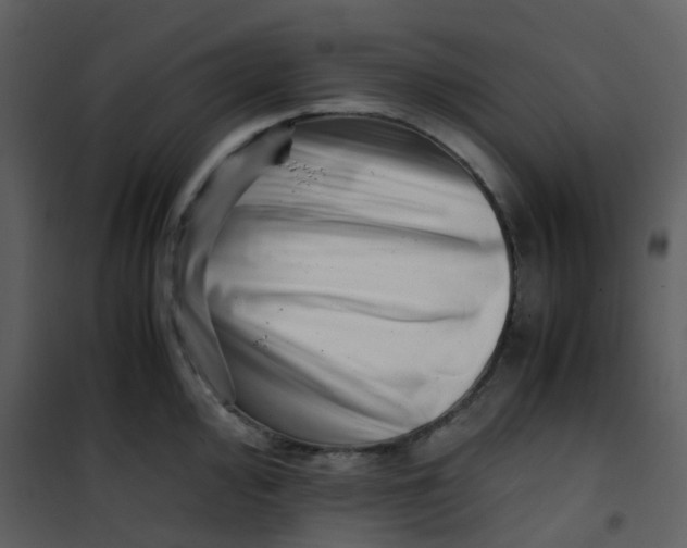X0000101171000200807181419