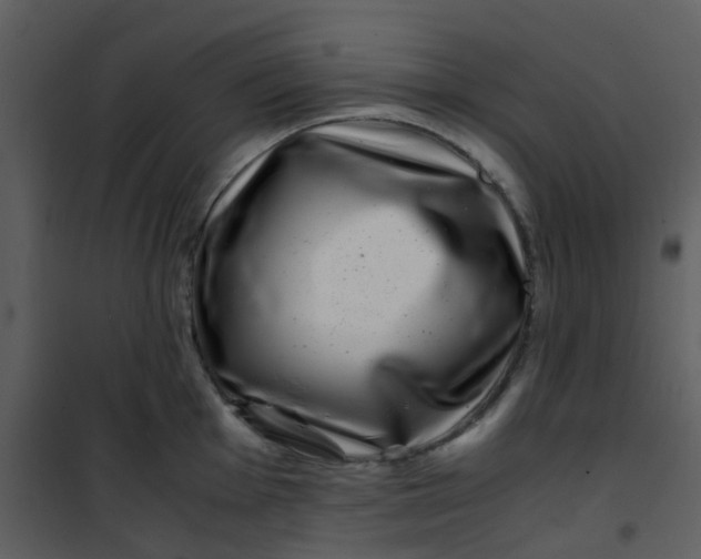 X0000101171001200807181419