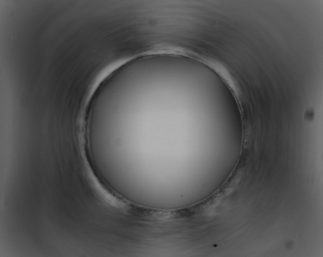 X0000101171003200807181419