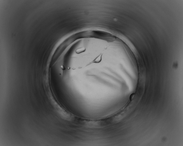 X0000101171004200807181419