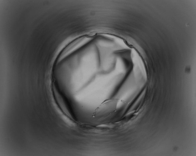 X0000101171005200807181419