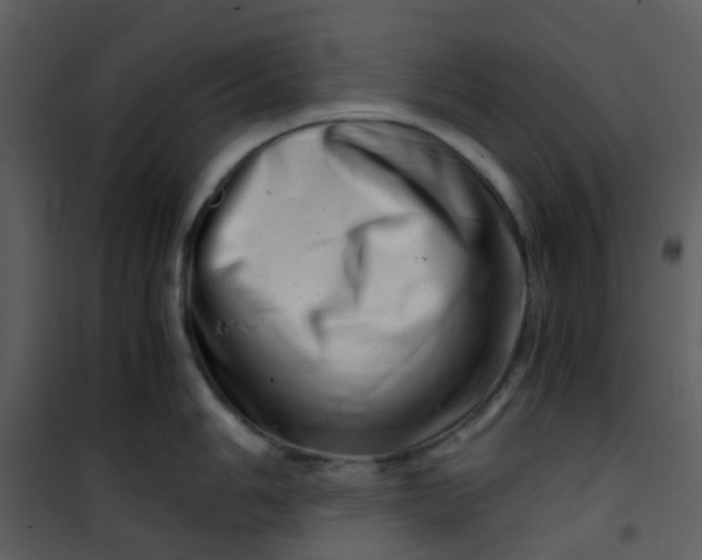 X0000101171006200807181419