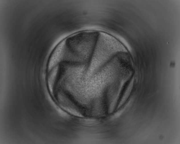 X0000101171007200807181419