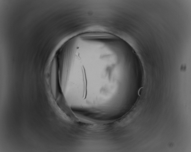 X0000101171008200807181419