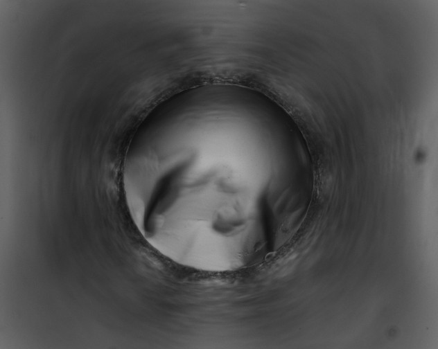 X0000101171010200807181418