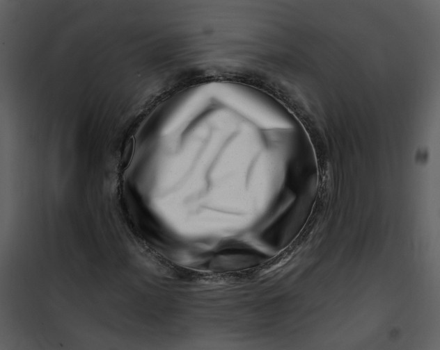 X0000101171012200807181418