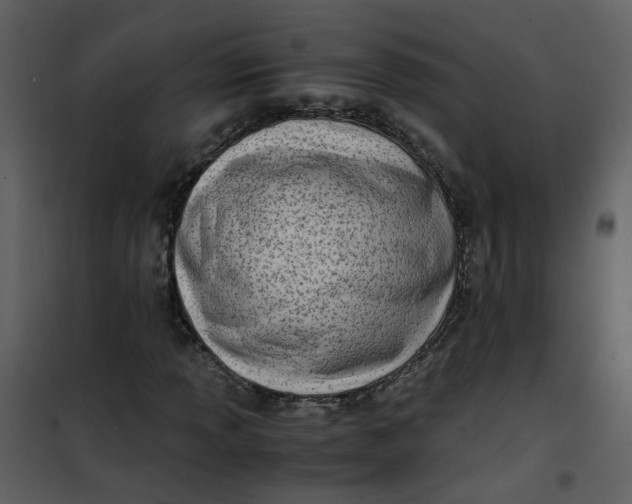 X0000101171013200807181418