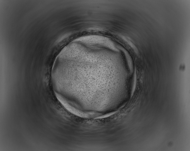 X0000101171015200807181418