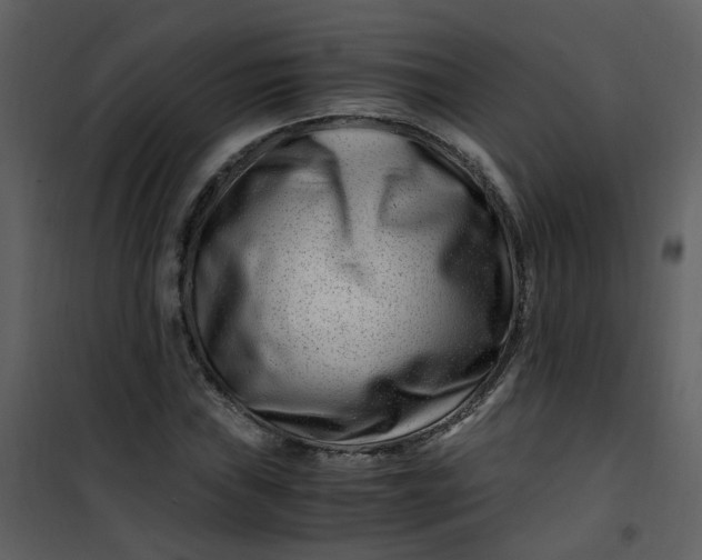X0000101171019200807181418