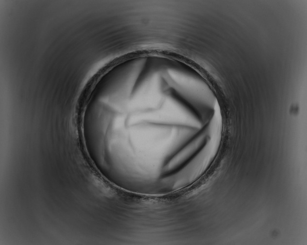 X0000101171022200807181418