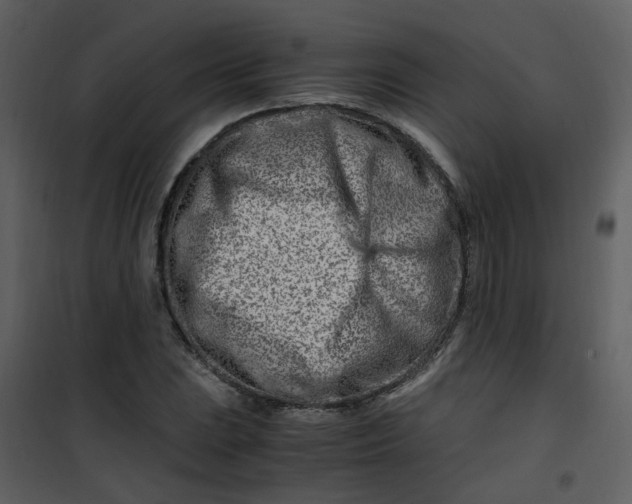 X0000101171023200807181418
