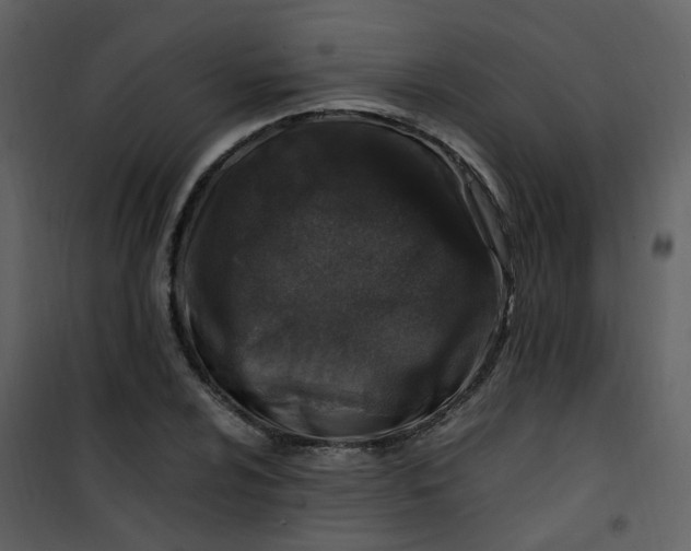 X0000101171024200807181418