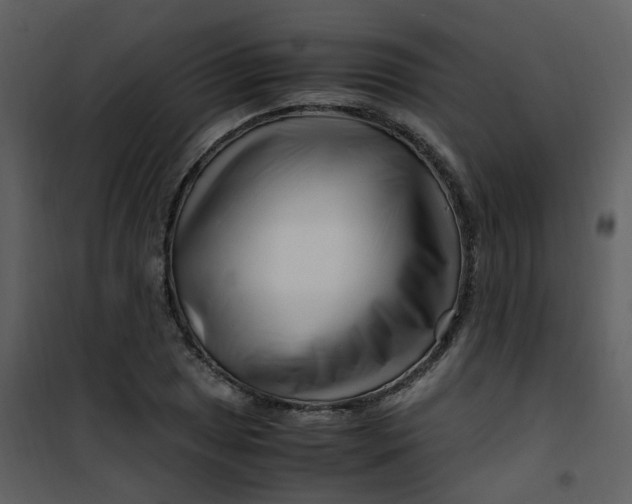 X0000101171025200807181418