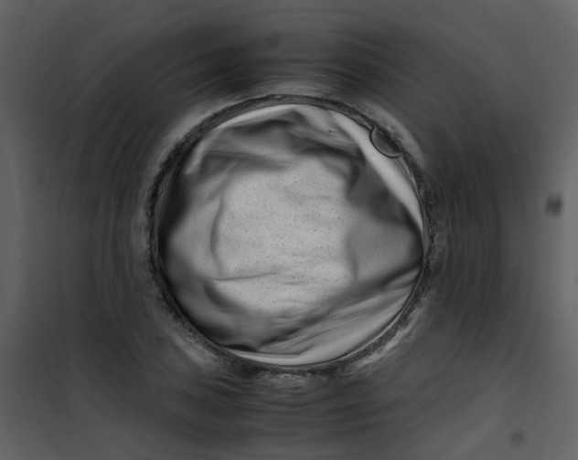 X0000101171027200807181418