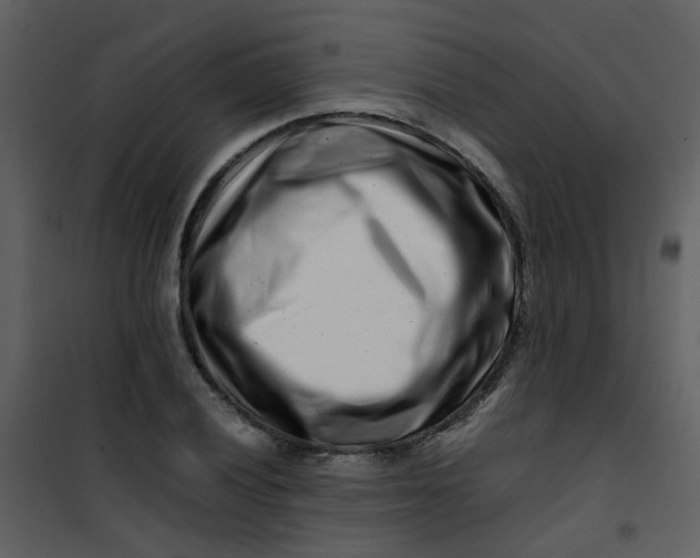 X0000101171028200807181418