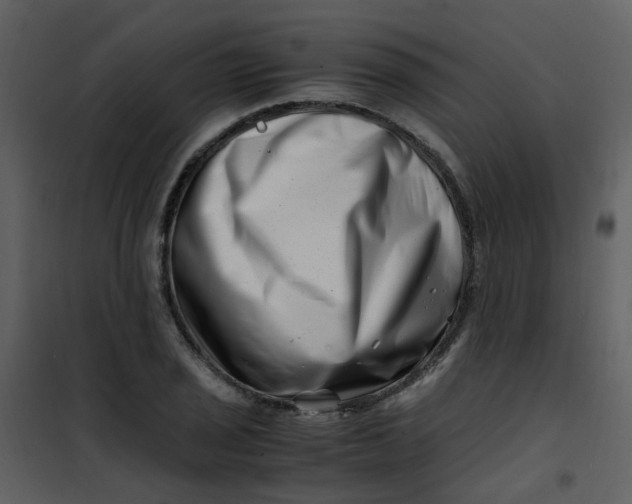 X0000101171029200807181418