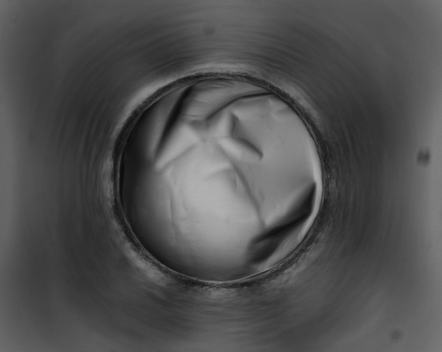 X0000101171030200807181418