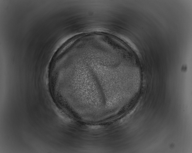 X0000101171031200807181418