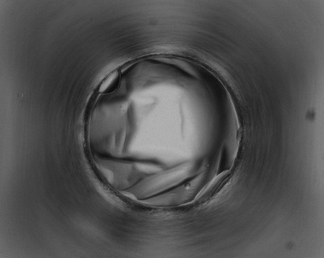 X0000101171034200807181418