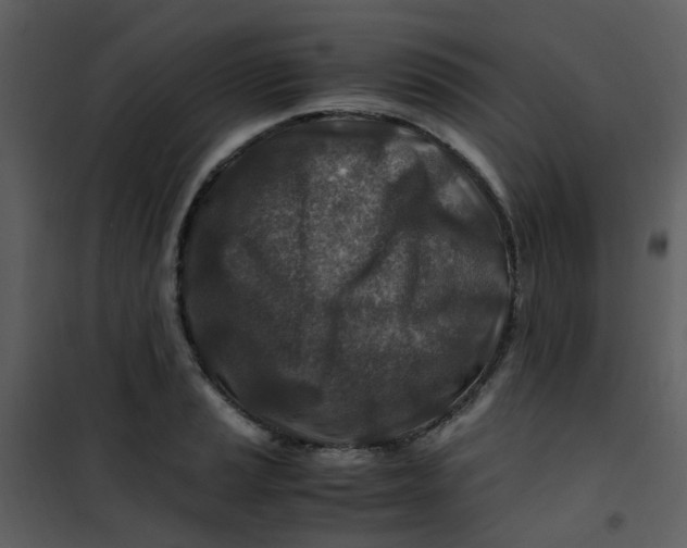 X0000101171037200807181418