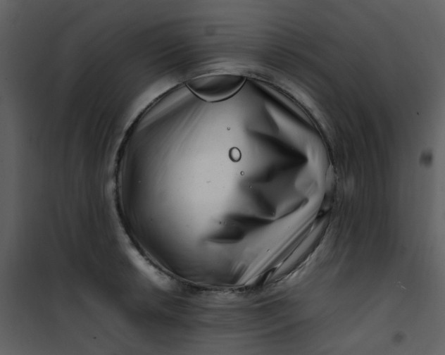 X0000101171042200807181418