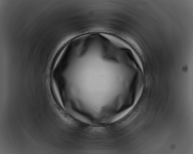 X0000101171043200807181419