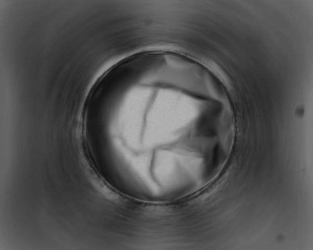 X0000101171044200807181419