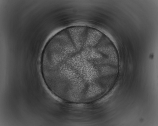 X0000101171045200807181419