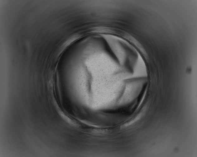 X0000101171049200807181419