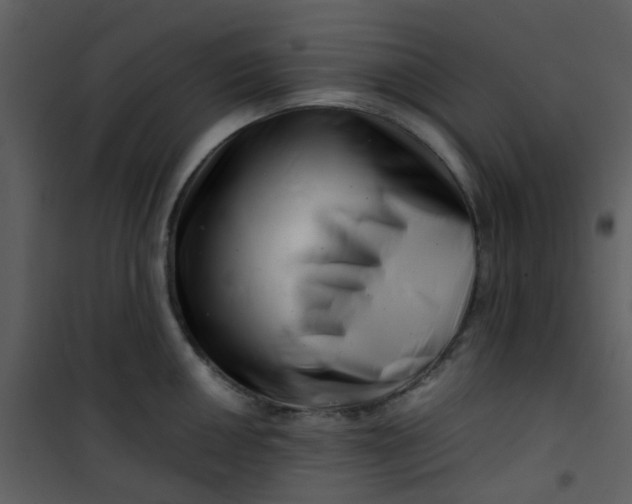 X0000101171050200807181419