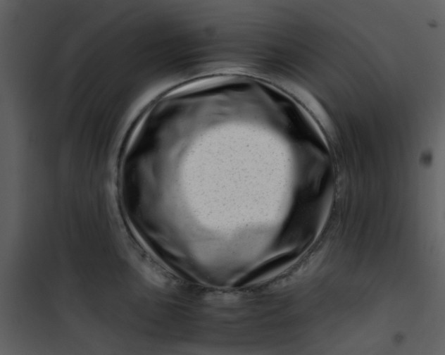 X0000101171051200807181419