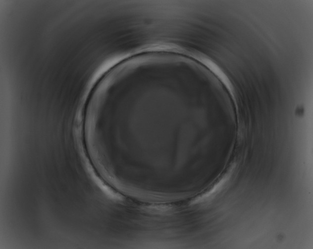 X0000101171053200807181419