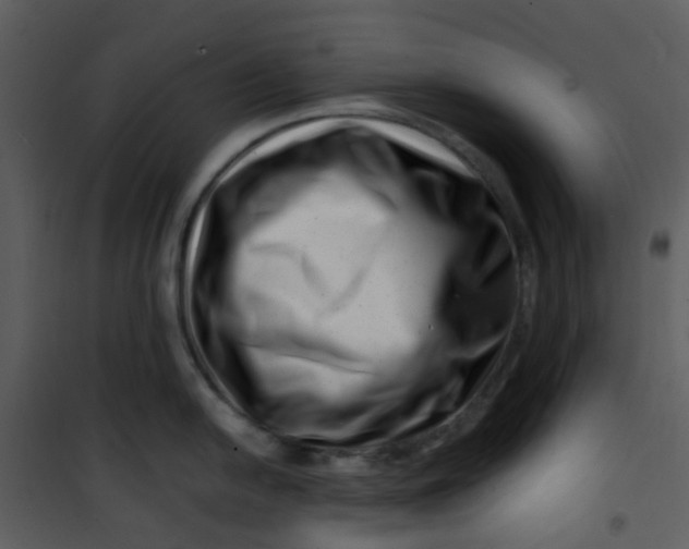 X0000101171054200807181419